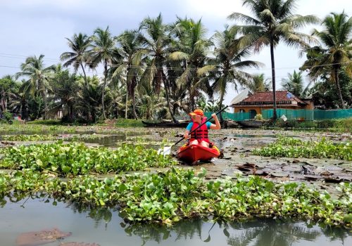 Kumarakom Backwater Village Kayaking