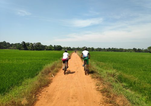 Kerala Beach and Backwater Cycling Tour Experience