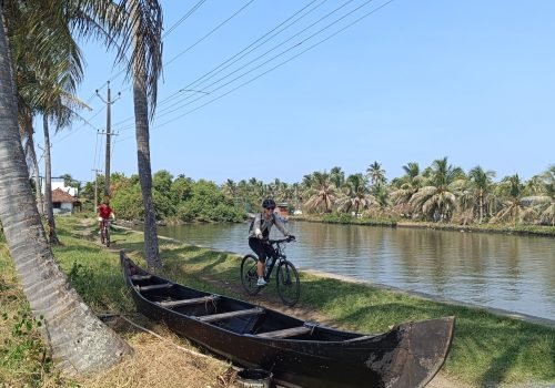 WhatsApp Image 2024-03-01 at 23.26.45